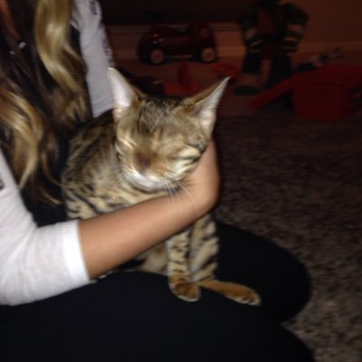 Profile Picture of Madz (@ShellyMalone16) on Twitter