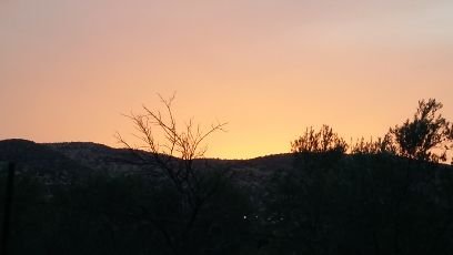 theodorou100's profile picture. 