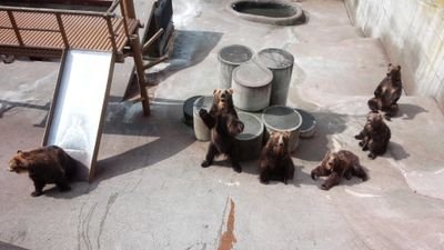 f90taka's profile picture. 