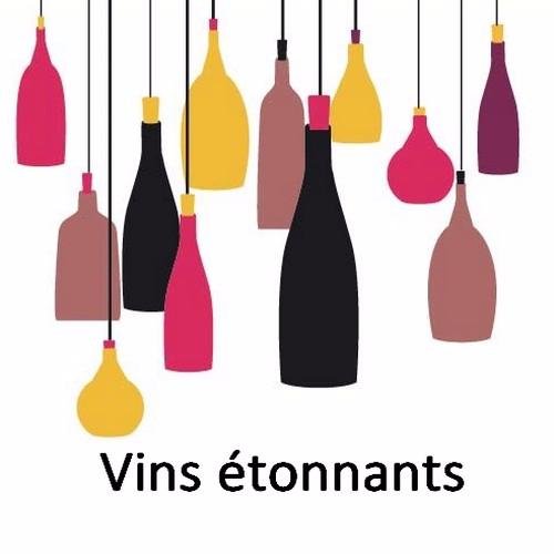 Vins_etonnants's profile picture. Site internet de vins d'auteurs et vins d'artisans au naturel
A votre service depuis 2003
63, Avenue du Général Martial Valin 87000 Limoges