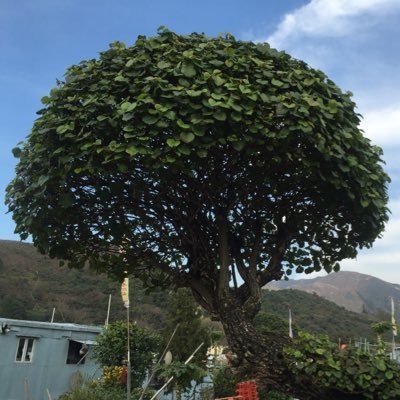 love__spiritual's profile picture. Life is simple, simply trust it, stay healthy & joyful ❣❣❣