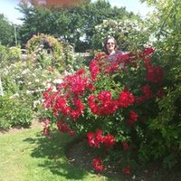 Amelia Chambers (@aechambersnove1) 's Twitter Profile Photo