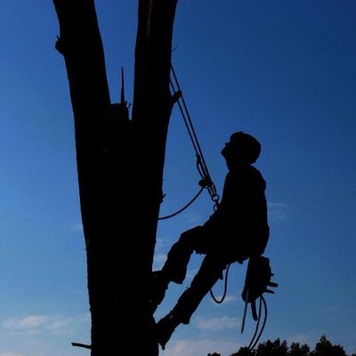 jones tree service jones tree service jonestreeserv1 twitter jones tree service jones tree service jonestreeserv1 twitter