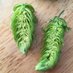 Aficionado Farms (@aficionadofarms) Twitter profile photo Aficionado Farms (@aficionadofarms) Twitter profile photo