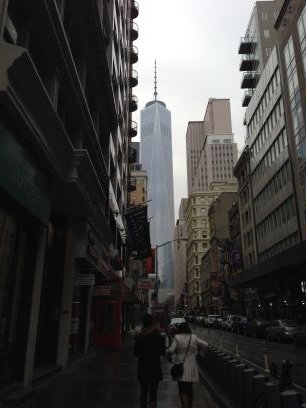 LazyTurtle91's profile picture. 