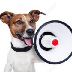 VOTPUK's profile picture. Saying what needs to be said.