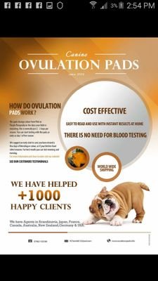 Canine Ovulation Test Pads - Established 12 years, we sell and ship world wide. Easy to use and read, test at home, no need to visit the Vet, cost effective.