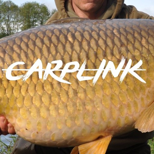 Access the free private sphere of CARPLINK and enjoy unbeatable prices for your fishing trips in France!