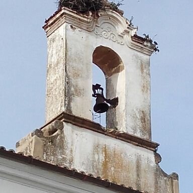 PepCusso's profile picture. Director Técnico de Esabe