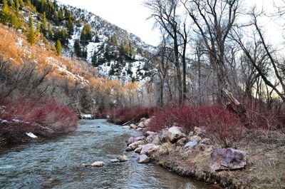 Providing you with the recent and reliable data about Utah's fly fishing waters.