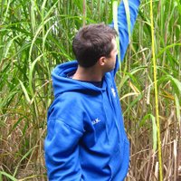 Ben Keane (@fluxsoilsleaves) 's Twitter Profile Photo Ben Keane (@fluxsoilsleaves) 's Twitter Profile Photo