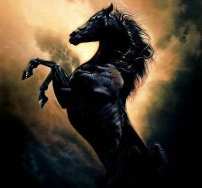 Masaklefol's profile picture. life !!