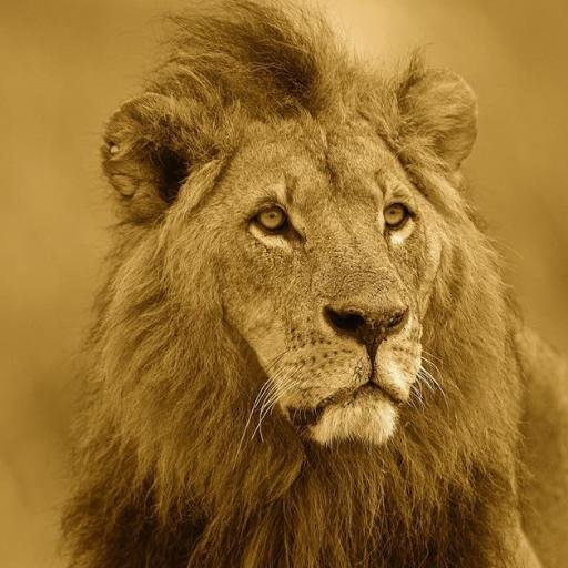 2FingersKenya's profile picture. ??? Look at my past tweets and follow or not.