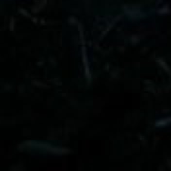 TateRPdm's profile picture. 