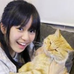 杉﨑寧々bot Sugisakinenebot Twitter