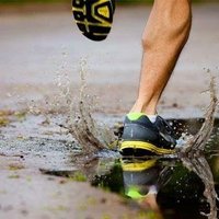 Fernando Moreno (@fmorenoanton) 's Twitter Profile