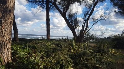 laurence_mori's profile picture. 