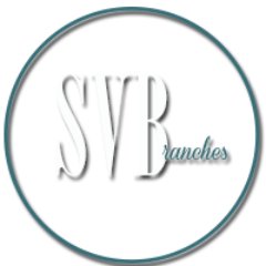 SV Branches