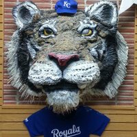 LSHS Library (@tigerlmc) 's Twitter Profile