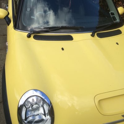 Yellow_Mini_Me's profile picture. Married, one cat. Drives Mini Cooper S. Enjoys golf, church, and running. Caller for Sporrandipity ceilidh band.