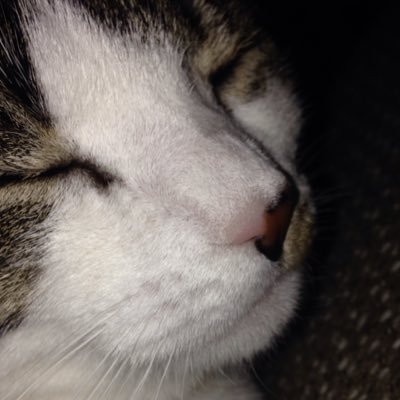 bookwork1055's profile picture. Music Country Pop