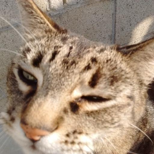 Yujto424's profile picture. Surviving