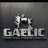 GaelicTrainingAssis. (@gta_gaa) 's Twitter Profile Photo