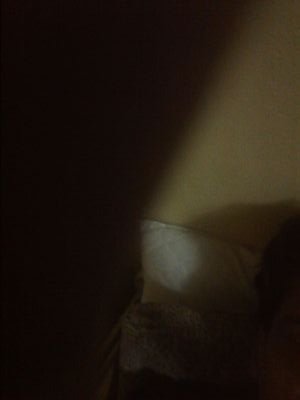 alwassel379454's profile picture. س ك س