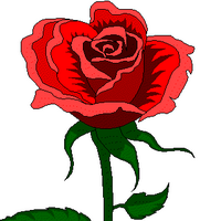 Ngarep (@ngarep) 's Twitter Profile