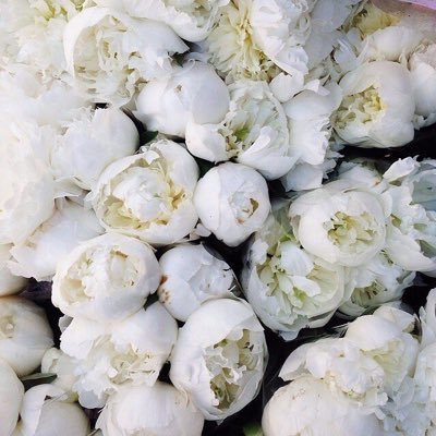 morkvaa's profile picture. I love Justin Bieber and Egor Kreed