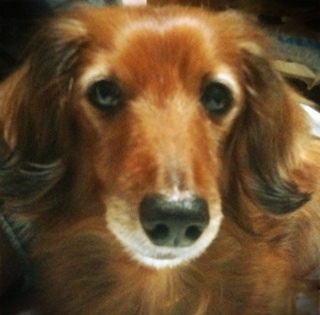 Mini_DF's profile picture. 気の向いた刹那に呟きます♪