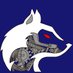 FRC Cyberian Huskies (@5621robotics) Twitter profile photo FRC Cyberian Huskies (@5621robotics) Twitter profile photo