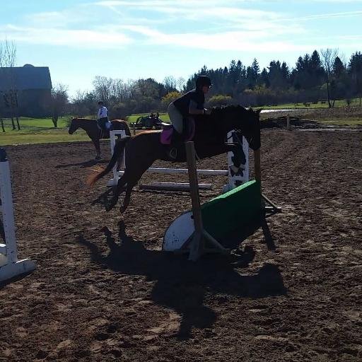 3possums_1coat's profile picture. Exhausted Bisexual 🩷💜🩵
Trans Lives Matter 🩵🩷🤍🩷🩵