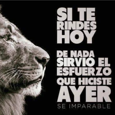100% demócrata, emprendedora, apasionada por la tecnología, amante de la paz y la superación del ser humano!