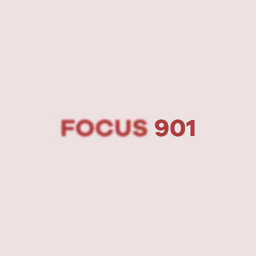 Focus 901 is a non-profit project working to solve problems of lack of understanding about differences in the communities of Memphis.