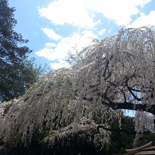 mzJurisprudence's profile picture. 