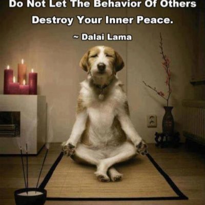 Shannon_Schultz's profile picture. 