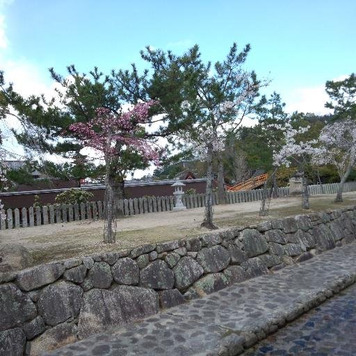 ダイエットで健康のblogさんのプロフィール画像