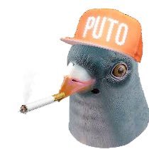 você acha que paga micão, até entrar aqui