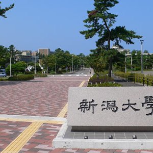 新潟大学17 明日 明後日は大学学務が開催する履修手続き説明会があります 申請期間や抽選方法など一学期とは大きく異なる部分も多いため 学務情報システムに記載されている情報をみてもよくわからないという人は 是非参加してみると良いと思います