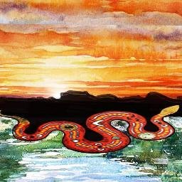 NaidocWeek2016's profile picture. 