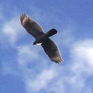 Tommy7807's profile picture. Jesus Lover Husband Daddy PawPaw music lover