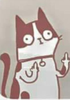 Camargatos's profile picture. Me gustan los gatos