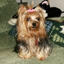 Ollie Black - @w4orb - Twitter