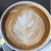 Sharon Bronwyn Powell (@sharonbronwyn) 's Twitter Profile Photo Sharon Bronwyn Powell (@sharonbronwyn) 's Twitter Profile Photo