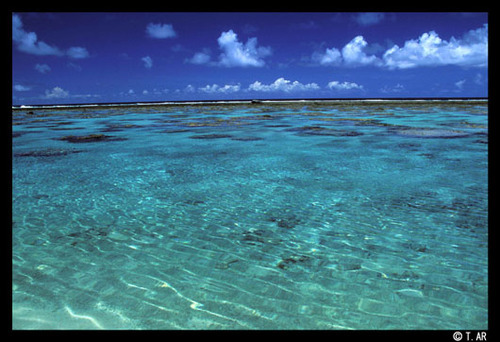 spring_myok's profile picture. 