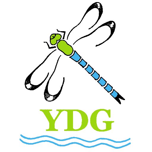 York. Dragonfly Grp. Profile