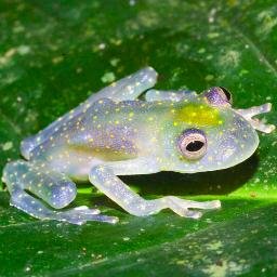 Difusión sobre ciencia en Ecuador