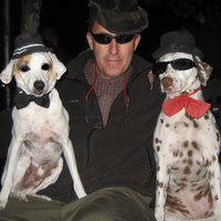 Dan Carmody (@dancarmody) 's Twitter Profile