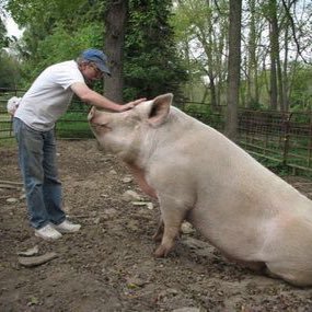 mofecuma's profile picture. CW: ideas & opinions expressed here may be offensive to some readers. #procop, #proBLM, #prohumanity. #antiobesity